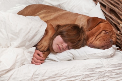 hond en meisje in bedmand