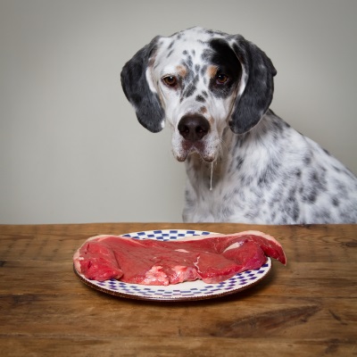 hond kwijlt voor biefstuk